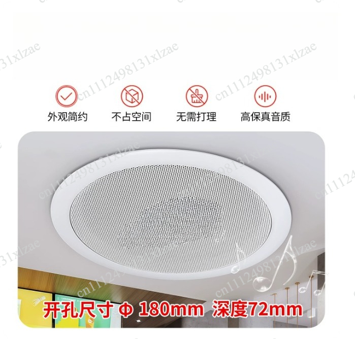 Audio Music Store - TD202 ceiling speaker ceiling audio store