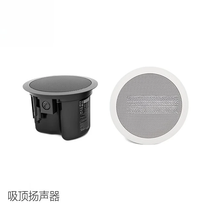 Ceiling audio, fixed pressure  - Audio Music Store review and price