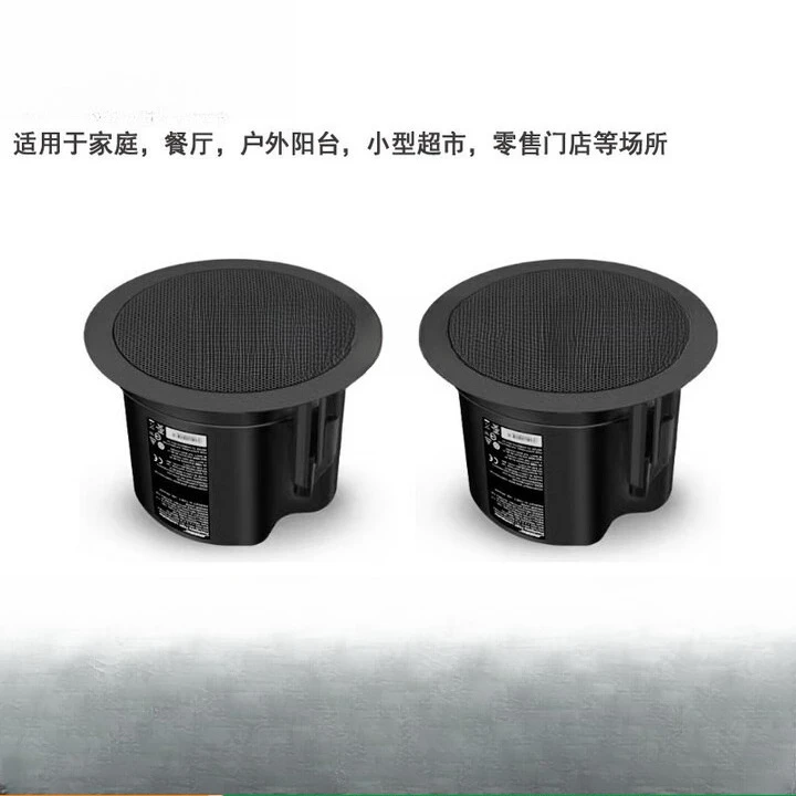 Ceiling audio, fixed pressure  - Audio Music Store review and price