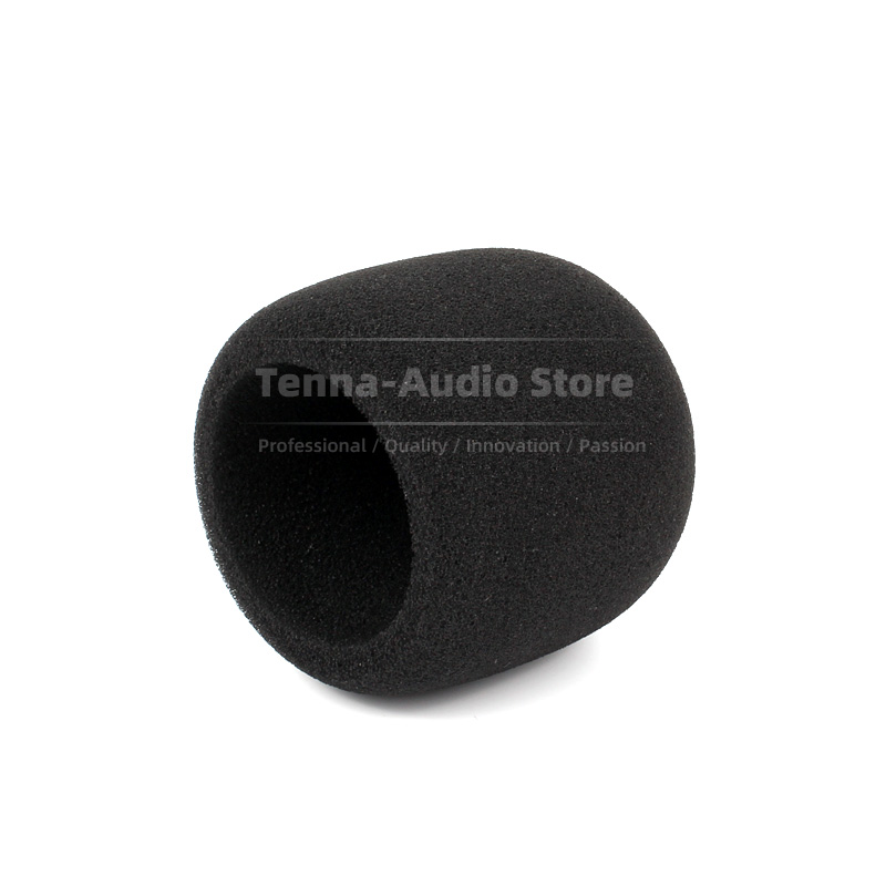 Replacement For SONY PCM D10 P - Recording Pop Filter review and price