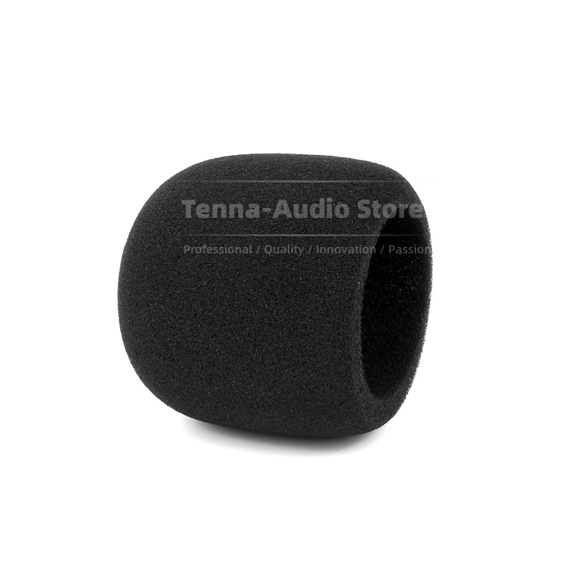 Replacement For SONY PCM D10 P - Recording Pop Filter review and price