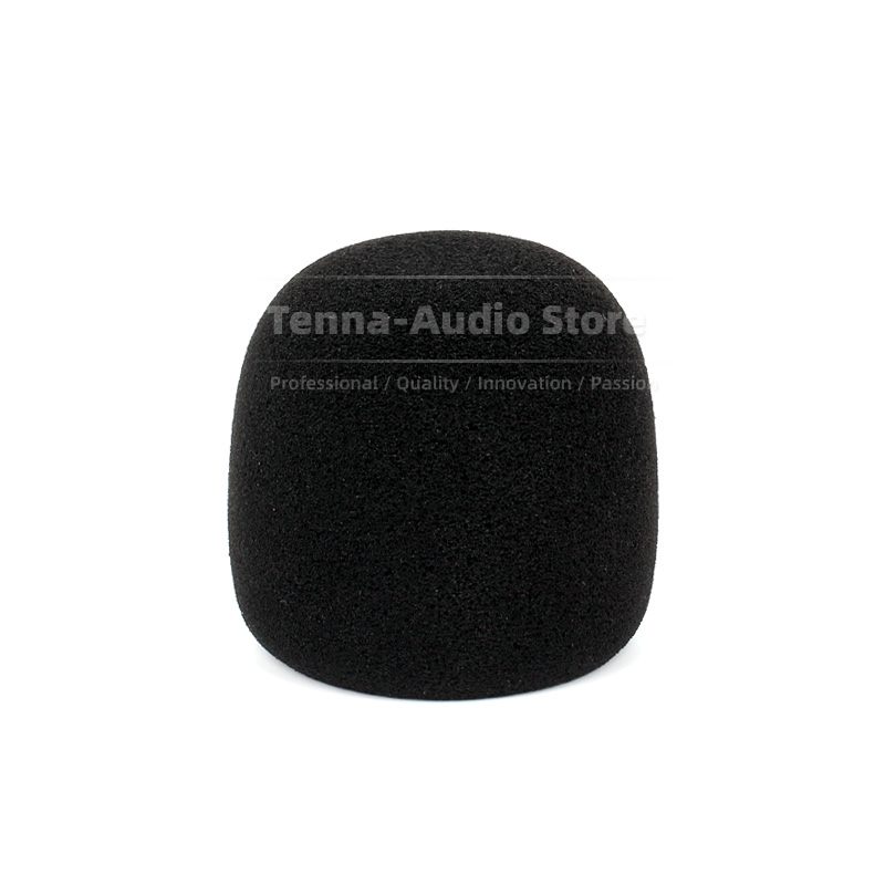 Replacement For SONY PCM D10 P - Recording Pop Filter review and price