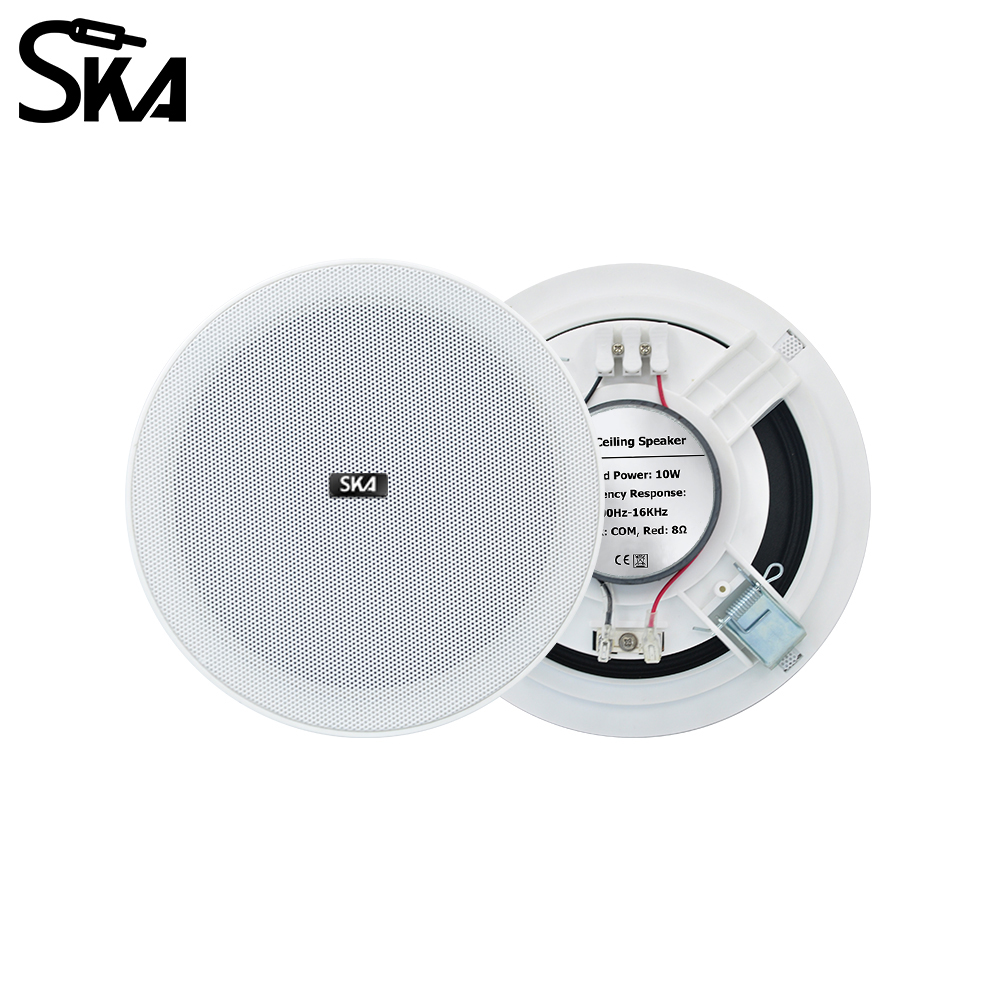 6.5-inch 20W， 8ΩDual cone spea - Audio Music Store review and price