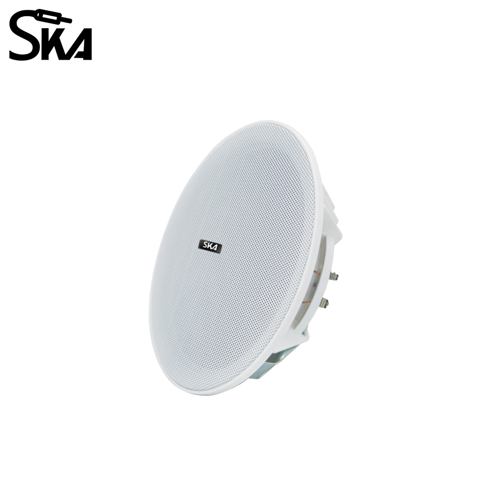 6.5-inch 20W， 8ΩDual cone spea - Audio Music Store review and price