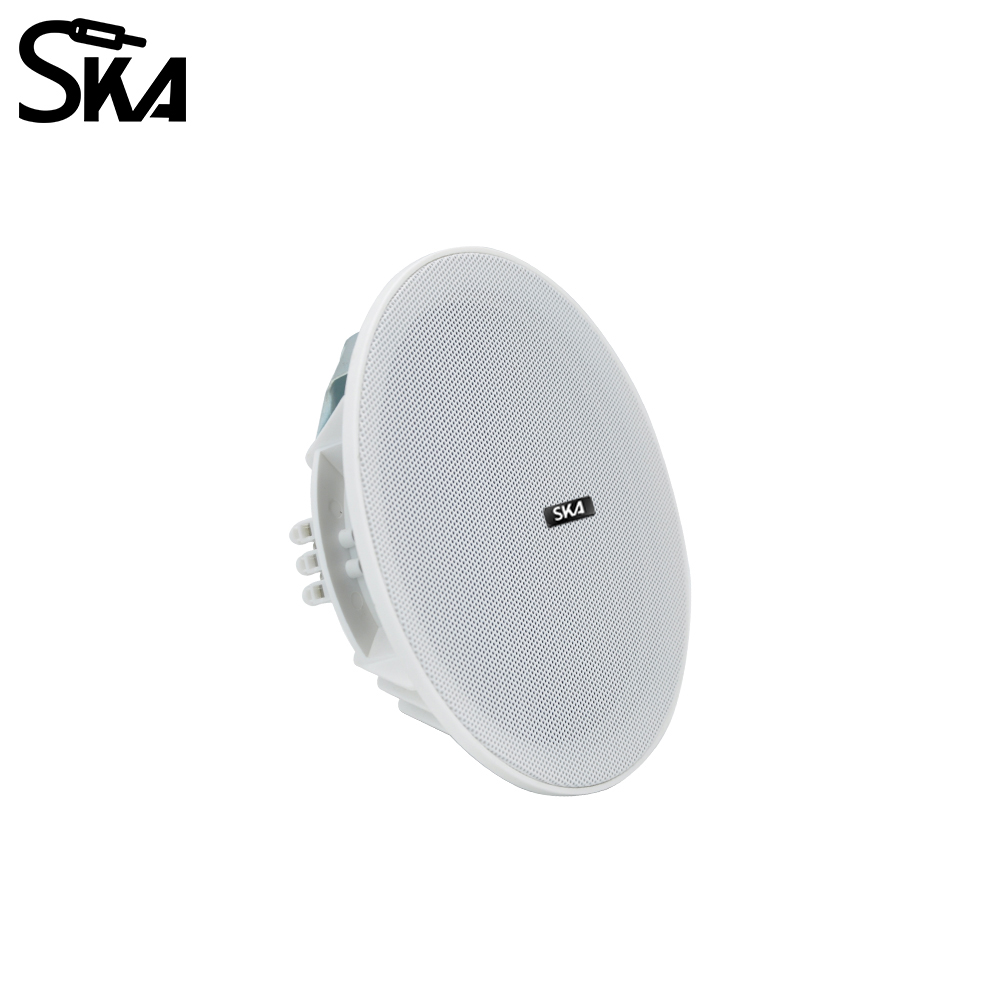 6.5-inch 20W， 8ΩDual cone spea - Audio Music Store review and price