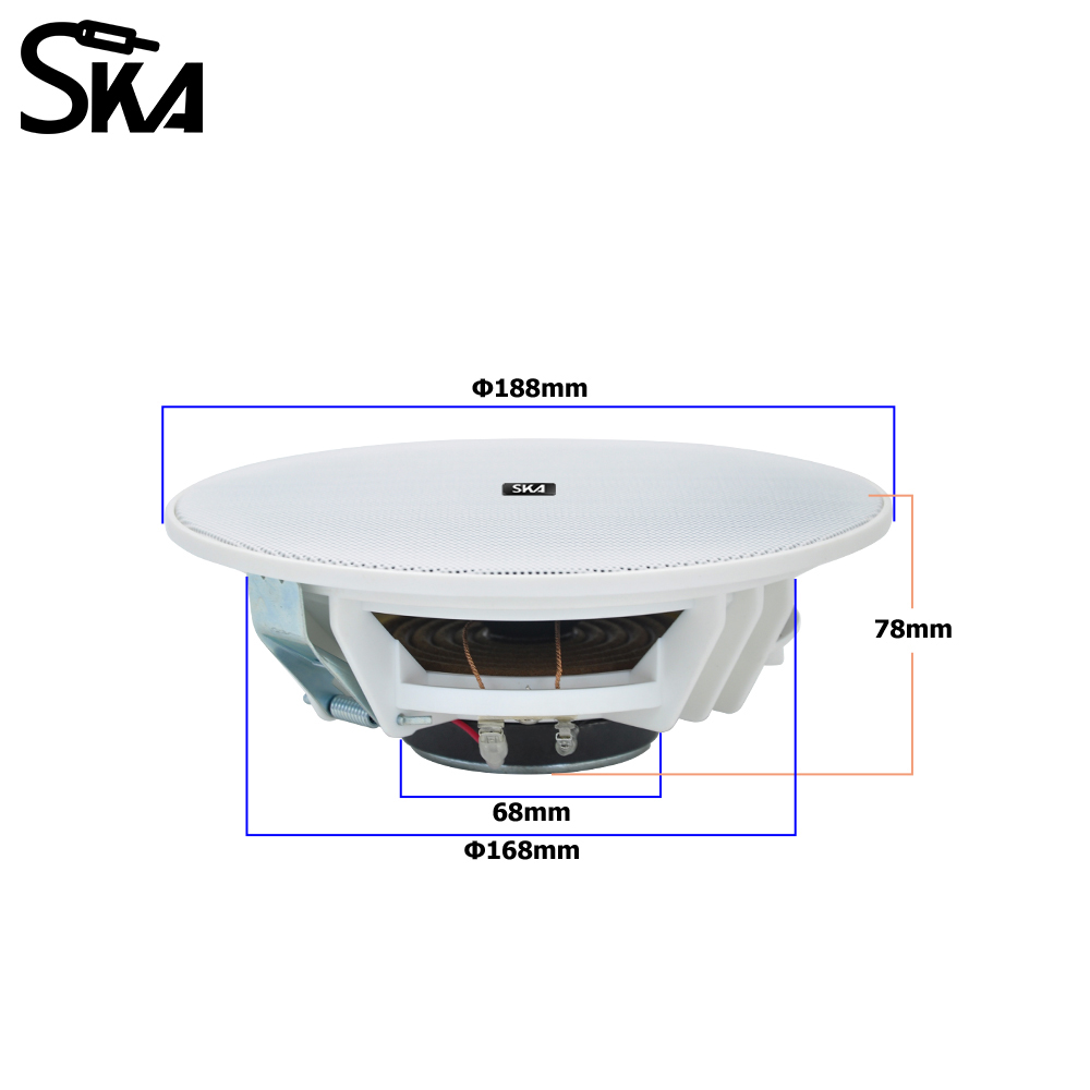 6.5-inch 20W， 8ΩDual cone spea - Audio Music Store review and price