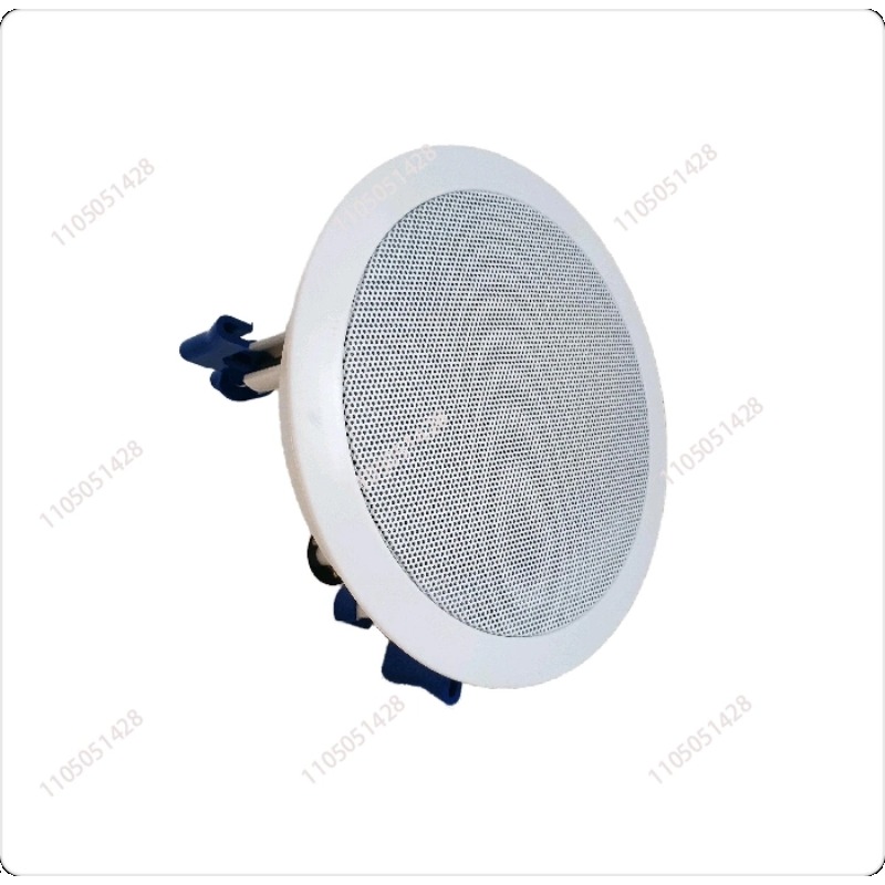 IP network speaker, ceiling au - Audio Music Store review and price