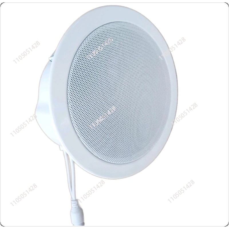 IP network speaker, ceiling au - Audio Music Store review and price