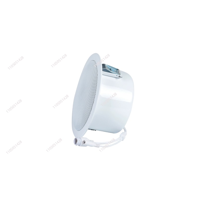 IP network speaker, ceiling au - Audio Music Store review and price