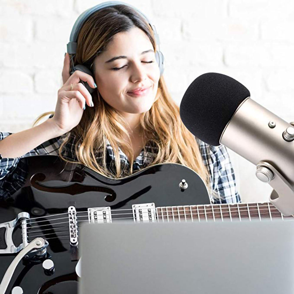 Microphone Sponge Foam Cover,F - Recording Pop Filter review and price