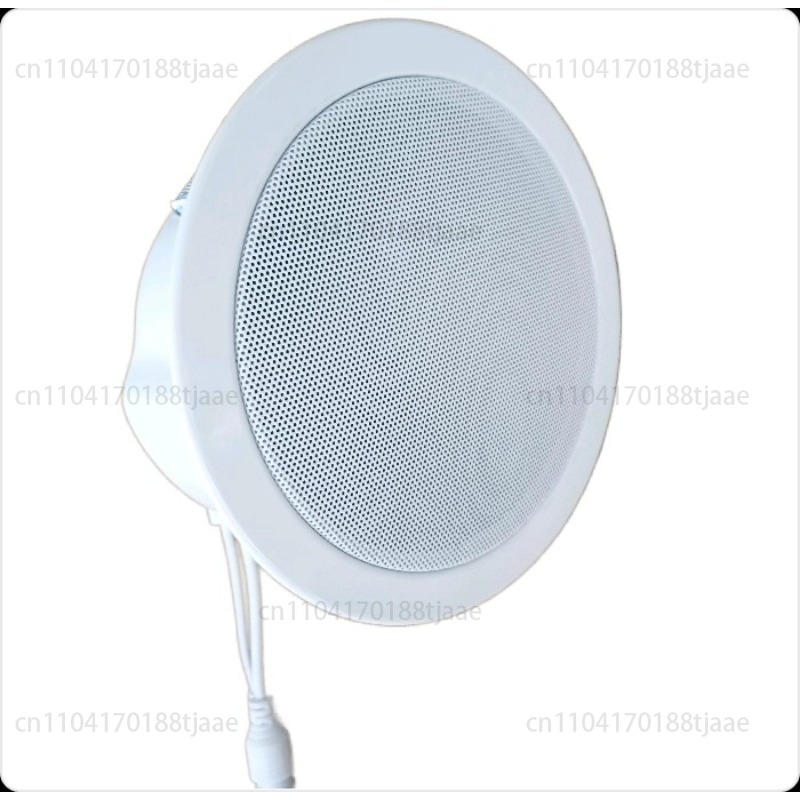 IP Network Speaker, Ceiling Au - Audio Music Store review and price