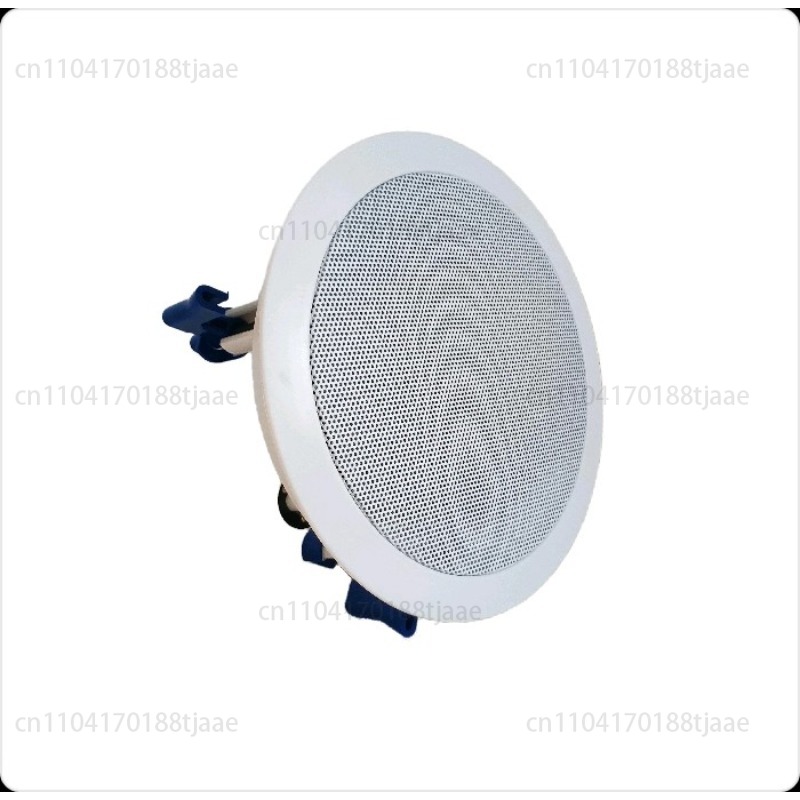 IP Network Speaker, Ceiling Au - Audio Music Store review and price