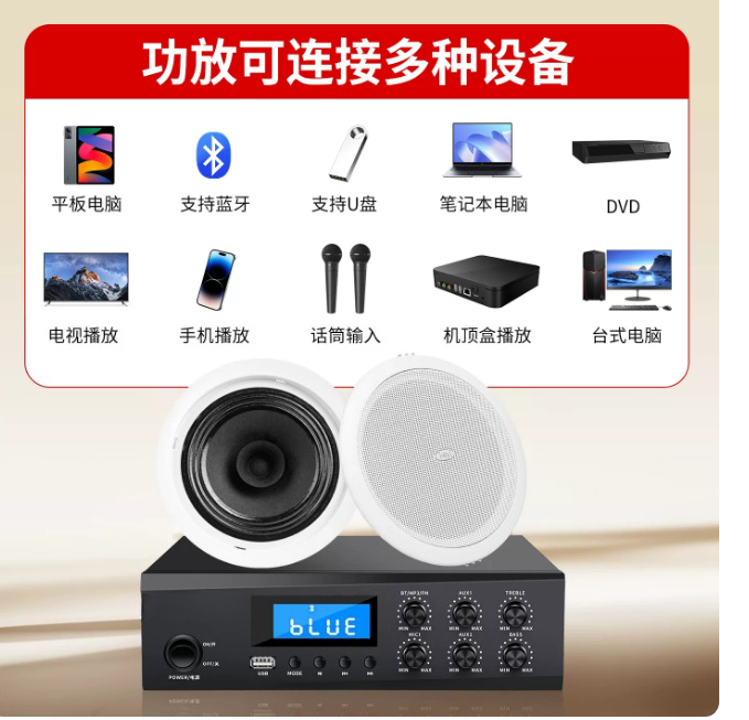 TD202 ceiling speaker ceiling  - Audio Music Store review and price