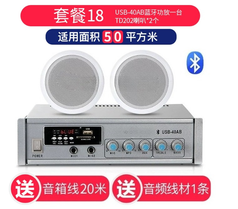 TD202 ceiling speaker ceiling  - Audio Music Store review and price