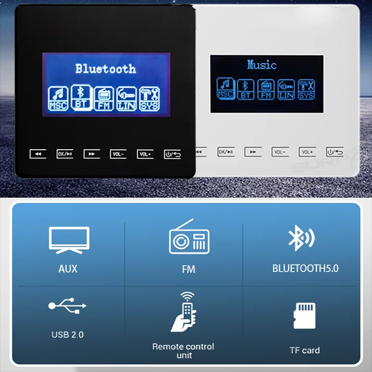 Mini Bluetooth Amplifier Wall  - Audio Music Store review and price