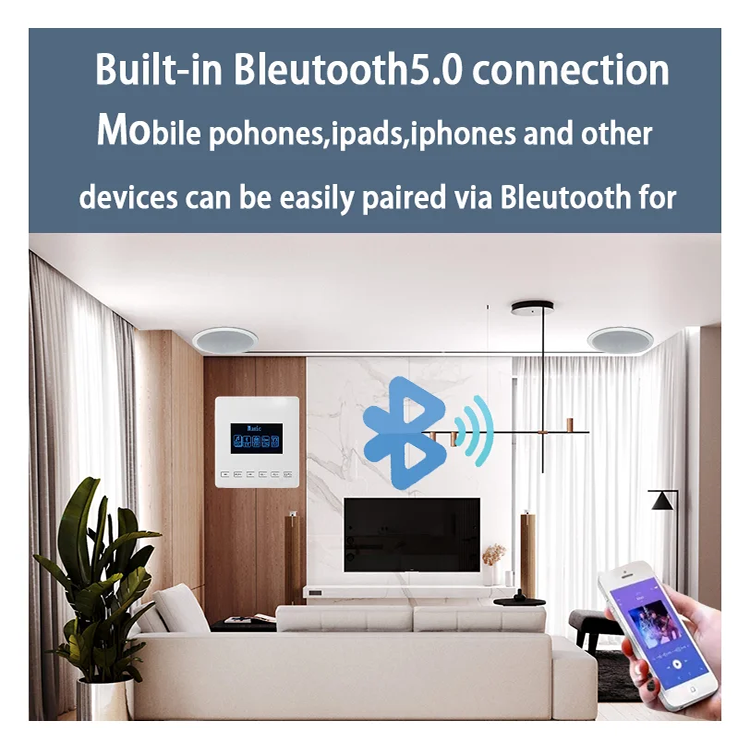 Mini Bluetooth Amplifier Wall  - Audio Music Store review and price