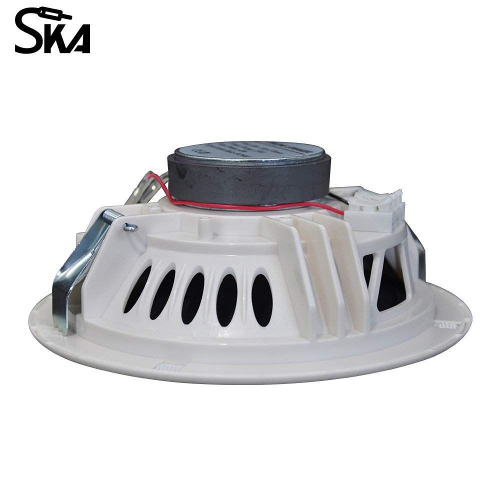 6.5-inch 12W 8Ω Dual cone spea - Audio Music Store review and price